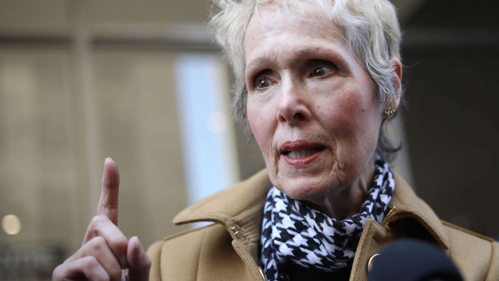 E. Jean Carroll Files New Lawsuit Against Trump on Thanksgiving